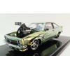 DDA Collectibles DDA806 - Holden A9X Torana Supercharged Colour Shift with Flames - Scale 1:24