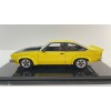 DDA Collectibles DDA807 - Holden A9X Torana SS 308 Factory Car Yellow - Scale 1:24