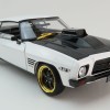 DDA GreenLight DDA211 1973 Holden HQ Monaro GTS 427 White TUFF HQ Golden Chase Edition Scale 1:24