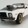 DDA GreenLight DDA211 1973 Holden HQ Monaro GTS 427 White TUFF HQ Golden Chase Edition Scale 1:24