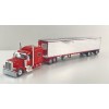 First Gear 69-2170 Peterbilt Model 589 6x4 Truck & Reefer Trailer - Big Rigs Series II No 6 - Blackjack Express LLC - Scale 1:64