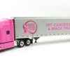 First Gear 59-3423 Mack Anthem Sleeper Truck The Pink Lady with 53' Trailer - Scale 1:50