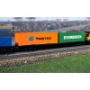Hornby R60360 RailRoad BR FFA Container Wagon with 2 x 30 ft Containers - Era 11 OO Scale