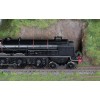 Hornby R30135 BR Princess Royal Class The Turbomotive 4-6-2 Steam Locomotive 46202 - Era 4