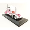 Hachette G1470015  - Kenworth W900 6x4 Truck 1998 Breast Cancer  - Scale 1:43