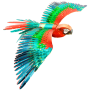 Metal Earth 3D ICONX Laser Cut DIY Model KIT Parrot Jubilee Macaw 