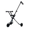 Micro - Trike Black Edition