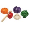 Plan Toys  3431 - 5 Colors Veggie Set