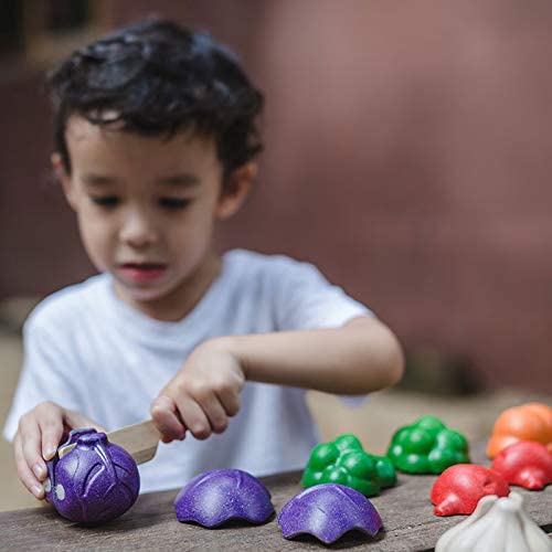 Plan Toys  3431 - 5 Colors Veggie Set
