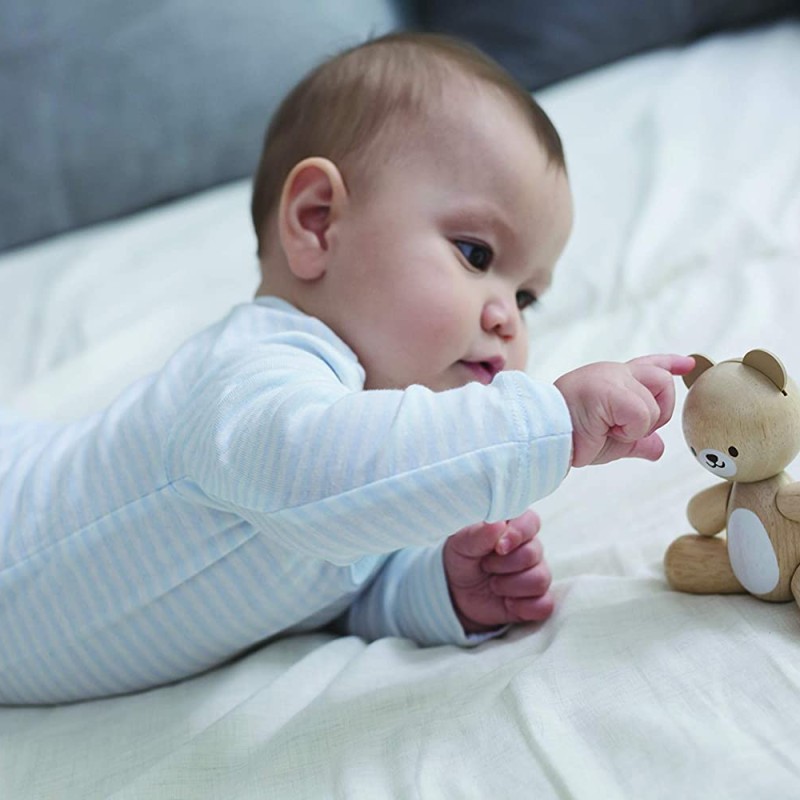 Plan Toys 5241 - Bear