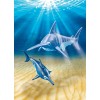 Playmobil 9068 - Sea Aquarium Swordfish with Baby