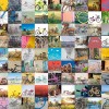Ravensburger - 99 Bicycles and more Puzzle - 1500 pieces
