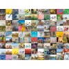 Ravensburger - 99 Bicycles and more Puzzle - 1500 pieces