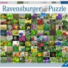 Ravensburger - 99 Herbs and Spices Puzzle - 1000 pieces