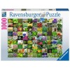 Ravensburger - 99 Herbs and Spices Puzzle - 1000 pieces
