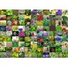 Ravensburger - 99 Herbs and Spices Puzzle - 1000 pieces