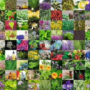 Ravensburger - 99 Herbs and Spices Puzzle - 1000 pieces