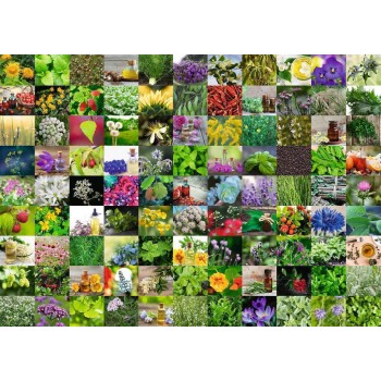 Ravensburger - 99 Herbs and Spices Puzzle - 1000 pieces