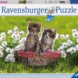Ravensburger - Picnic in the Meadow Puzzle 1000 pieces