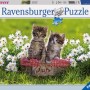 Ravensburger - Picnic in the Meadow Puzzle 1000 pieces