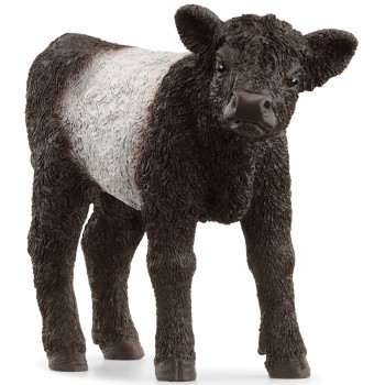 Schleich 13969 - Galloway Calf