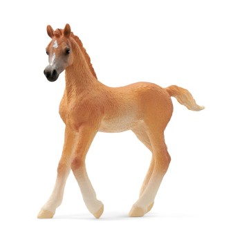 Schleich 13984 - Arabian Foal