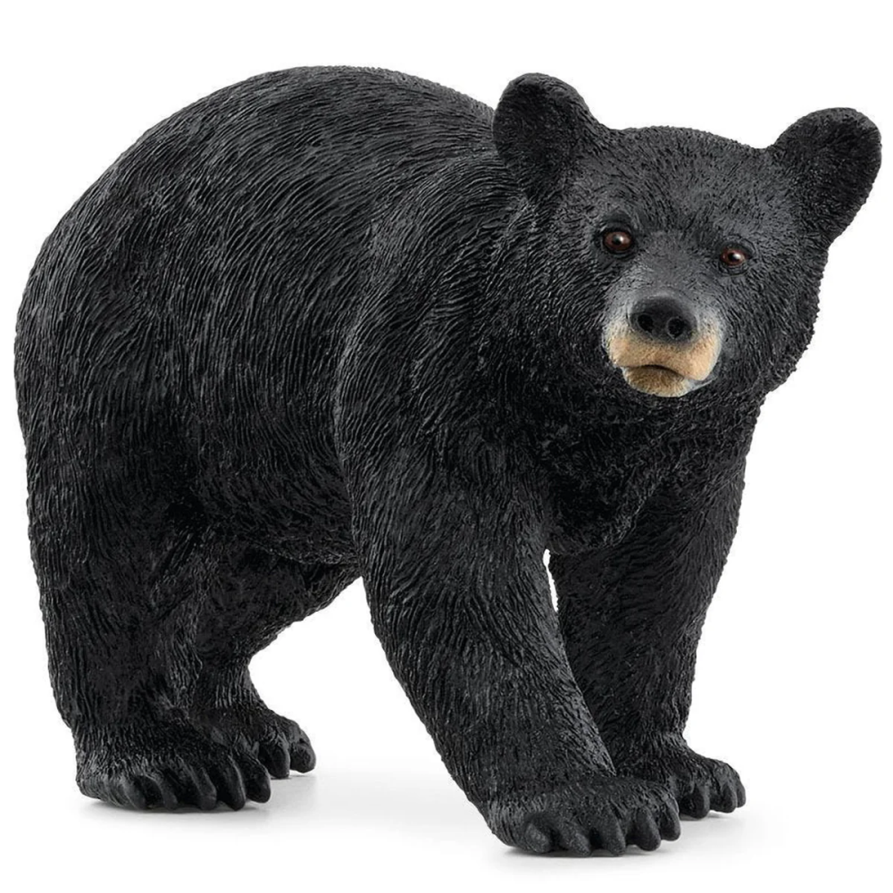 Schleich 14869 - American Black Bear Wild Life New 2024