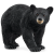 Schleich 14869 - American Black Bear Wild Life New 2024