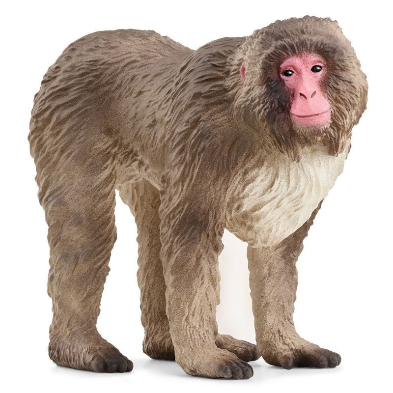 Schleich 14871 - Japanese Macaque New 2024 Wild Life