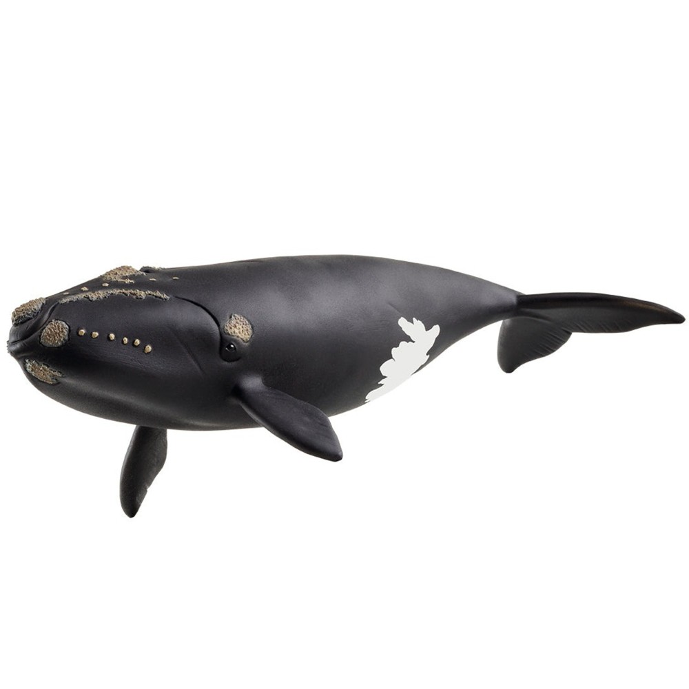 Schleich 14878 - North Atlantic Right Whale - Wild Life New 2025 Release