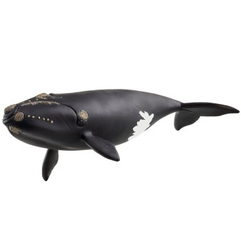 Schleich 14878 - North Atlantic Right Whale - Wild Life New 2025 Release