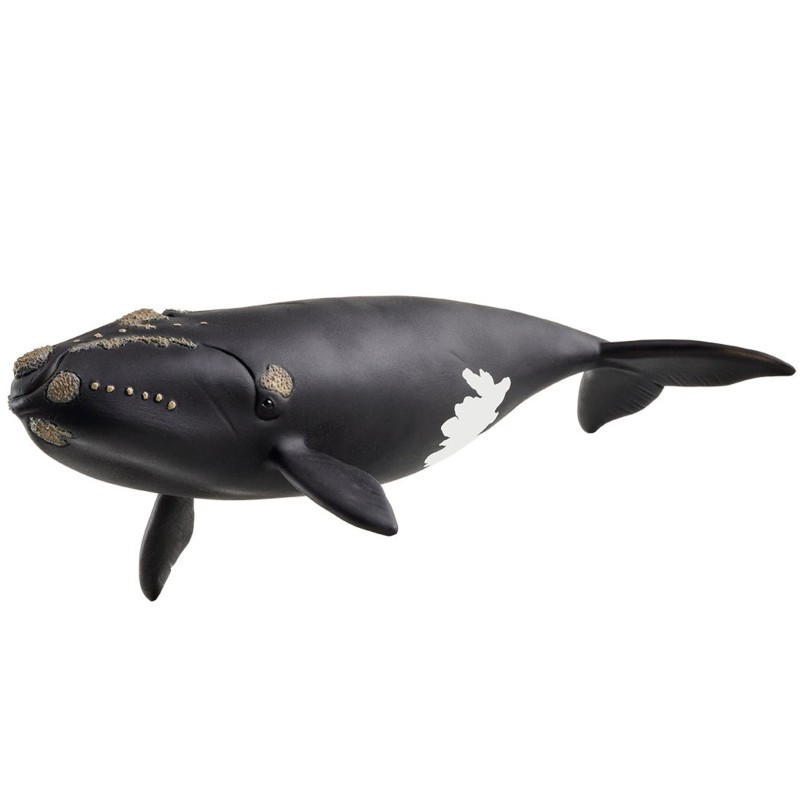 Schleich 14878 - North Atlantic Right Whale - Wild Life New 2025 Release