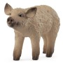 Schleich 14893 - Mangalica Piglet - Farm World New 2025 Release