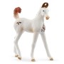 Schleich 14896 - Marwari Foal - Horse Club New 2025 