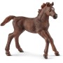 Schleich 13857 - Thoroughbred Foal