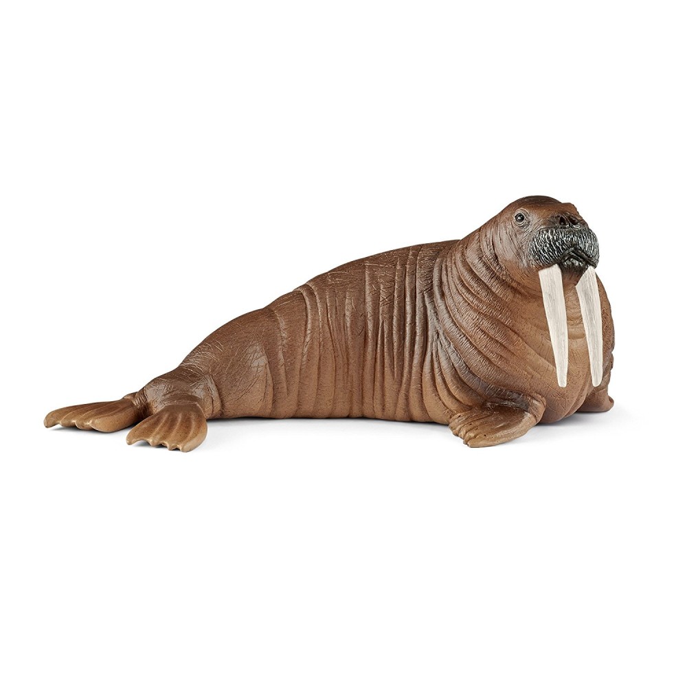 Schleich 14803 Walrus