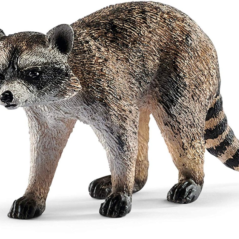 Schleich 14828 - Raccoon - Wild Life