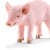Schleich 13783 - Piglet, standing - Farm Life