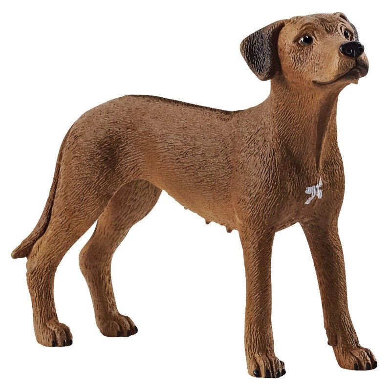 Schleich 13895 - Rhodesian Ridgeback