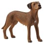 Schleich 13895 - Rhodesian Ridgeback