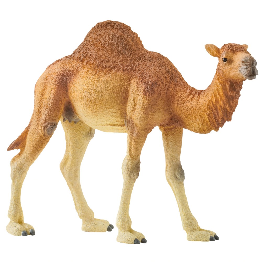 Schleich 14832 - Dromedary