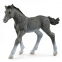 Schleich 13944 - Trakehner Foal