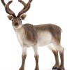 Schleich 14837 - Reindeer