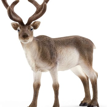 Schleich 14837 - Reindeer