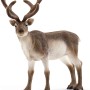 Schleich 14837 - Reindeer
