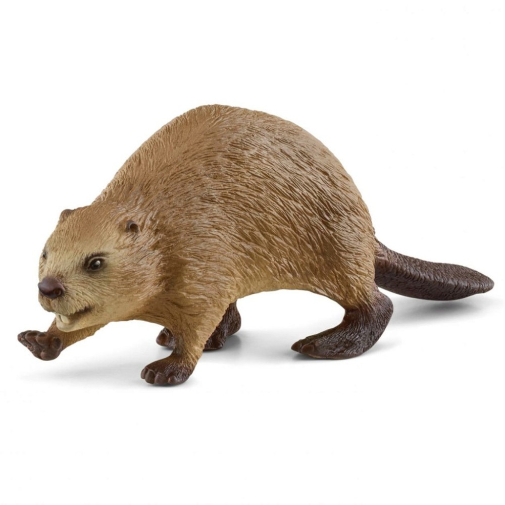Schleich 14855 - Beaver New item 2022