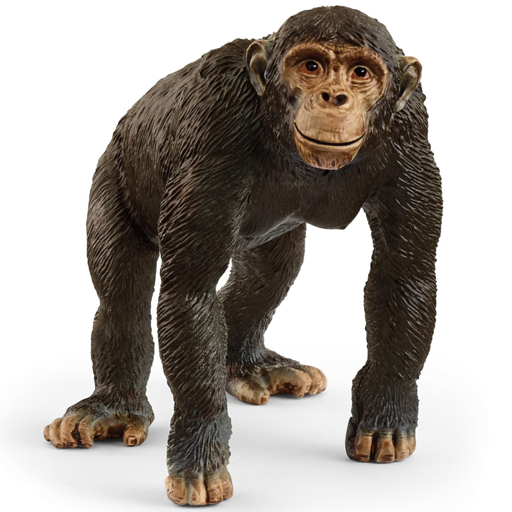 Schleich 14883 - Chimpanzee Wild Life 2025 Release