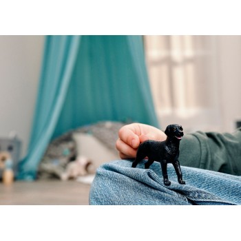 Schleich 14923 - Black Labrador Retriever Female - Farm World 2026