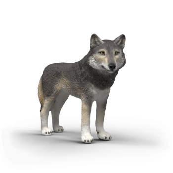 Schleich 14991 - American Wolf - Wild Life 2026