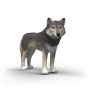 Schleich 14991 - American Wolf - Wild Life 2026